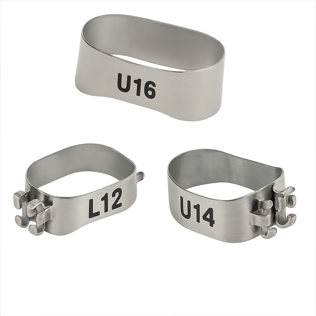 Produkt: Pierścienie na Przedtrzonowce